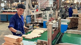Lào Cai: Doanh nghiệp thành lập mới tăng 15%, vốn đăng ký đạt gần 6.865 tỷ đồng