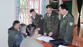 Triển khai thí điểm cấp, quản lý mã số vùng trồng rừng nguyên liệu tại xã Quy Mông