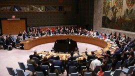 5 nước ủy viên không thường trực Hội đồng Bảo an LHQ bắt đầu nhiệm kỳ mới