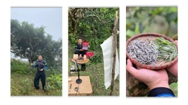 Người kể câu chuyện Phình Hồ bằng trà, mây và công nghệ