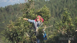 Cao Sơn: Phát huy nội lực, giảm nghèo bền vững