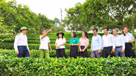 Vươn lên làm giàu, xây dựng quê hương hạnh phúc