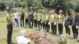 Tái thả 18 cá thể động vật hoang dã về môi trường sống tự nhiên