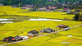 Mức thu tiền sử dụng đất khi chuyển đất nông nghiệp sang đất ở từ 1/1/2026