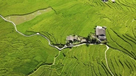 Những điểm đến đẹp nhất Việt Nam vào tháng 3