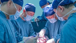 Trung Quốc công bố ca ghép gan lợn trên người đầu tiên sống lâu nhất thế giới