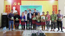 Triển khai hỗ trợ hạt giống, vật tư và tập huấn kỹ thuật trồng dưa chuột tại xã Phong Hải 