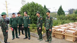 Thủ trưởng Bộ CHQS tỉnh kiểm tra công tác chuẩn bị bắn pháo hoa đêm Giao thừa