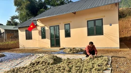 Sinh kế từ rừng giúp phụ nữ Mông ở Mà Mù Sử 1 ổn định cuộc sống