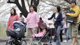 Xu hướng cha nghỉ thai sản tăng mạnh tại Hàn Quốc