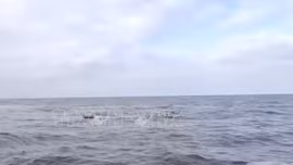 Tìm kiếm, cứu hộ tàu Khôi Nguyên 18: Đã có 48 người được cứu sống