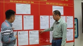 Bầu cử Quốc hội và HĐND: Các mốc thời gian cần lưu ý