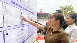 Phường Trung Tâm sẵn sàng cho ngày hội non sông