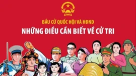 Bầu cử Quốc hội và Hội đồng Nhân dân: Những điều cần biết về cử tri