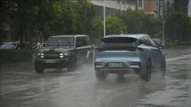 Bão Tapah đổ bộ miền Nam Trung Quốc, gây gián đoạn nhiều hoạt động