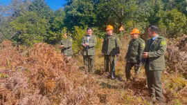 Lào Cai: Nhiều khu vực ở mức nguy hiểm và cực kỳ nguy hiểm về cháy rừng