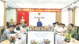 Triển khai Dự án ứng dụng nền tảng thông minh VNPT GREEN vào sản xuất nông nghiệp