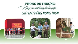 Phong Dụ Thượng: Nâng cao chất lượng đào tạo nghề cho lao động nông thôn