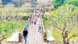 Sức hấp dẫn từ sự an toàn, thân thiện