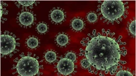 Virus RSV bùng phát nghiêm trọng tại Thái Lan