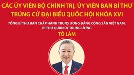 Các Ủy viên Bộ Chính trị, Ủy viên Ban Bí thư trúng cử đại biểu Quốc hội khóa XVI