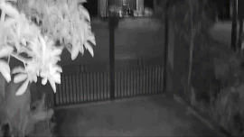 Động đất gây rung lắc nhiều nơi ở Quảng Ngãi