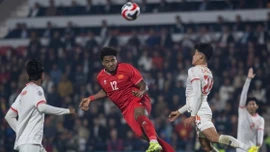 Lợi và hại cho các đội tuyển Đông Nam Á đá 2 AFF Cup liên tiếp