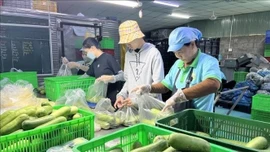 Thưởng Tết Bính Ngọ 2026 tăng hơn năm ngoái dù kinh tế nhiều biến động