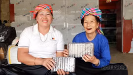 Về làng cao gắm Liêm Phú