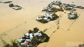 Chi trả gộp 3 tháng lương hưu và trợ cấp bảo hiểm xã hội cho người dân 4 tỉnh vùng lũ