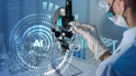 Lằn ranh đỏ trong thế giới ảo