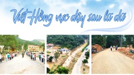Việt Hồng vực dậy sau lũ dữ