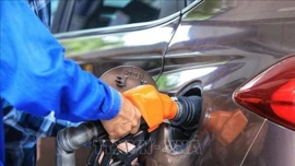 Sử dụng xăng E10 - Bước chuyển đổi năng lượng bền vững
