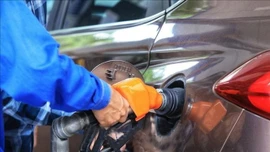Petrolimex thí điểm kinh doanh xăng sinh học E10 từ ngày 1/8/2025
