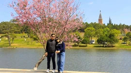 Du lịch Tết Bính Ngọ 2026: Sức hút mạnh mẽ từ các điểm đến trong nước