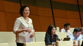 Hoàn thiện mọi phương diện để vận hành hiệu quả chính quyền địa phương 2 cấp