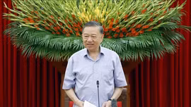 Kết luận của Tổng bí thư, Chủ tịch nước Tô Lâm tại buổi làm việc về công tác chuẩn bị năm học 2026 - 2027 và thực hiện Nghị quyết số 71-NQ/TW