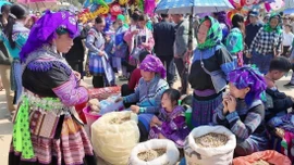 Pha Long triển khai hiệu quả công tác giảm nghèo bền vững, thúc đẩy bình đẳng giới