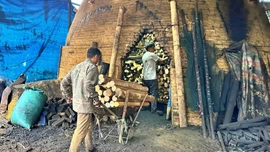 Hiệu quả từ mô hình đốt than quế của nông dân Bảo Hà