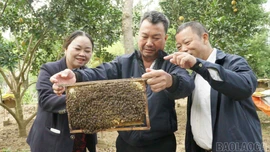 Lâm Giang đổi mới tư duy, phát huy nội lực trong phát triển kinh tế