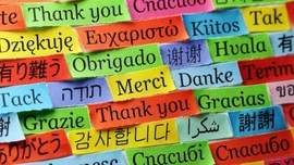 Các ngôn ngữ có nguy cơ biến mất trên thế giới