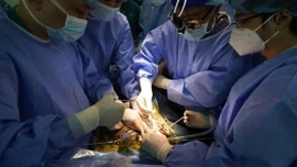 Viết tiếp kỳ tích ghép tạng Việt