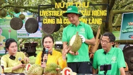 Minh bạch xuất xứ: Nền móng của niềm tin số