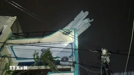 Những thiệt hại ban đầu do bão số 13 gây ra ở Gia Lai, Đắk Lắk, Quảng Ngãi