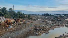 Gần 190 người thiệt mạng tại Philippines do siêu bão Kalmaegi