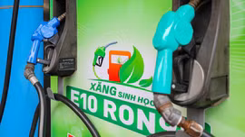 Từ 01/6: Xử lý nghiêm doanh nghiệp không bán xăng sinh học E10
