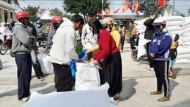 Hoàn thành kế hoạch đấu thầu 200.000 tấn gạo dự trữ quốc gia