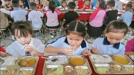 An toàn bán trú cho học sinh: Kiểm soát chặt từ đầu vào