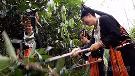 Chi bộ 4 tốt - Nòng cốt đưa phong trào thi đua ở cơ sở lan tỏa