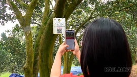 Xây dựng hệ sinh thái truy xuất nguồn gốc hiện đại, minh bạch